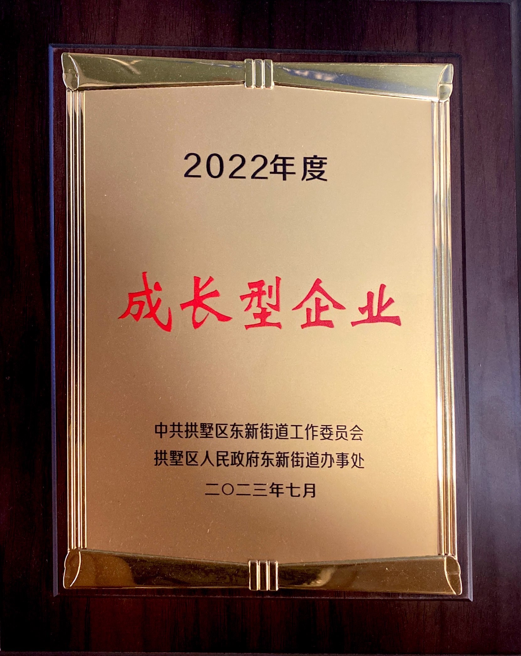 成长性企业